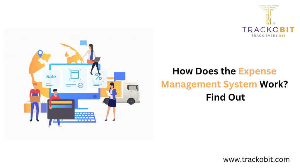 How Does the Expense Management System Work? Find Out