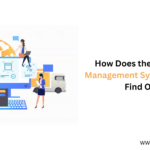 How Does the Expense Management System Work? Find Out