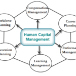 Human Capital Management Market Research Methodology, Structure, Forecast to 2032