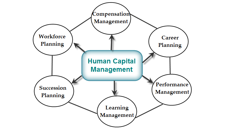 Human Capital Management Market Research Methodology, Structure, Forecast to 2032