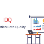 Informatica Data Quality Online Training by real-time Trainer in India