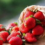 Well being and Pores and skin Advantages of Strawberries