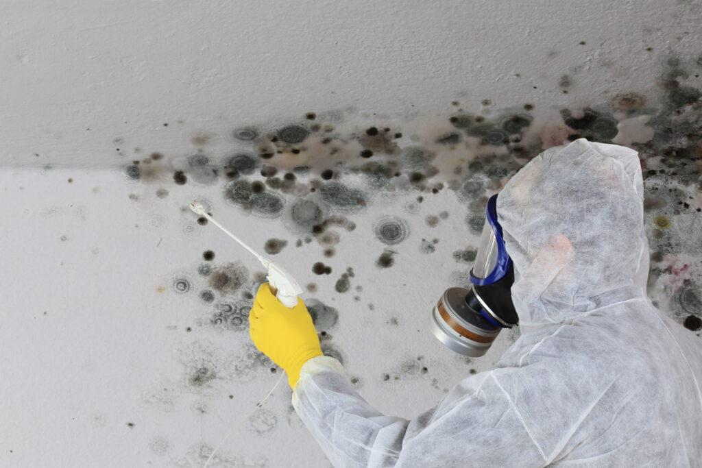 San Francisco CA Mold Remediation Experts at Your Service