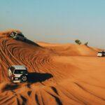 Unveiling the Majesty of the Desert: A Comprehensive Guide to Morning Desert Safari Dubai with Desert Planet Tourism