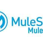 MuleSoft Online Training Viswa Online Trainings India