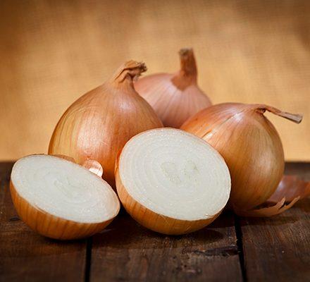 Onion Processing Plant Project Report 2024: Requirements and Cost Involved