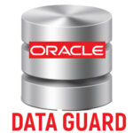 Oracle DataGuard Online Training Viswa Online Course In Hyderabad