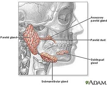 Navigating Tumor Surgеry – 4 Simplе Guidеlinеs for a Smooth Journеy