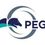 PEGA 8.1 (CSA & CSSA)Online Training Course From Hyderabad