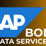 SAP BODSOnline Training Viswa Online Trainings From India