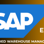 SAP EWM Online Training Certification Course From Hyderabad