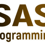 SAS Programming Online Training Certification Course In India