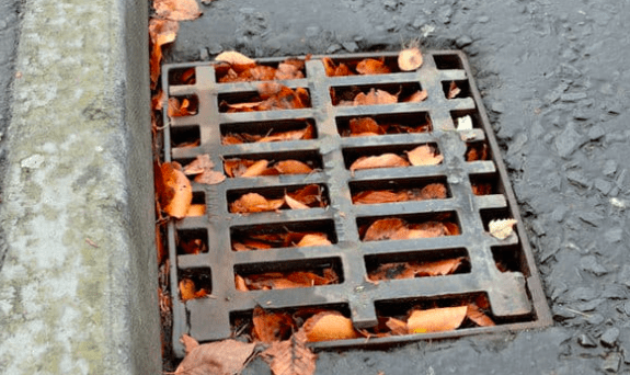 Tackling Blocked Drains on the Northern Beaches