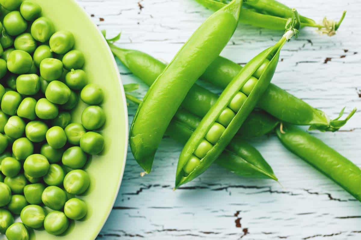 Green Pea Processing Plant Project Report 2024, Machinery, Cost Analysis and Raw Material Requirements