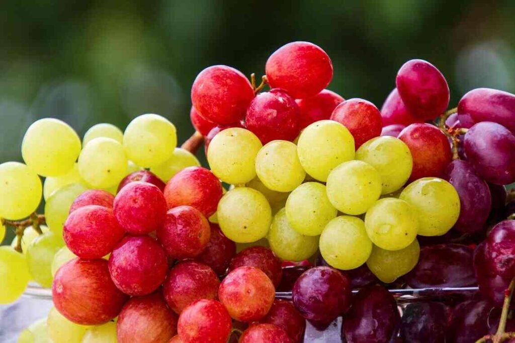 The Health Benefits of Consuming Grapes