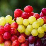 The Health Benefits of Consuming Grapes