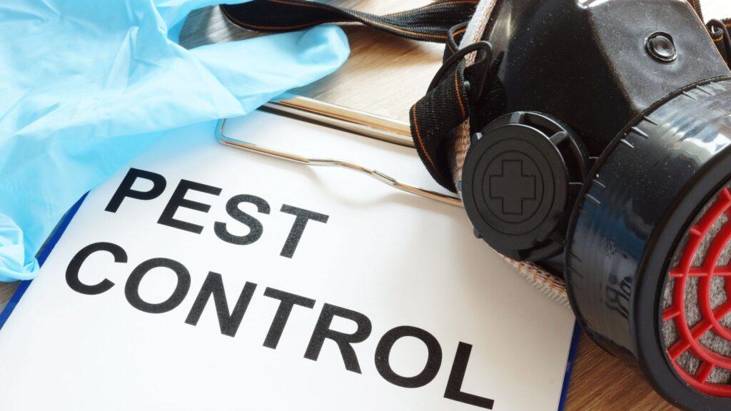 Squash those pesky pests: Expert pest control services in London!