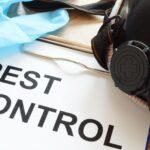 Squash those pesky pests: Expert pest control services in London!