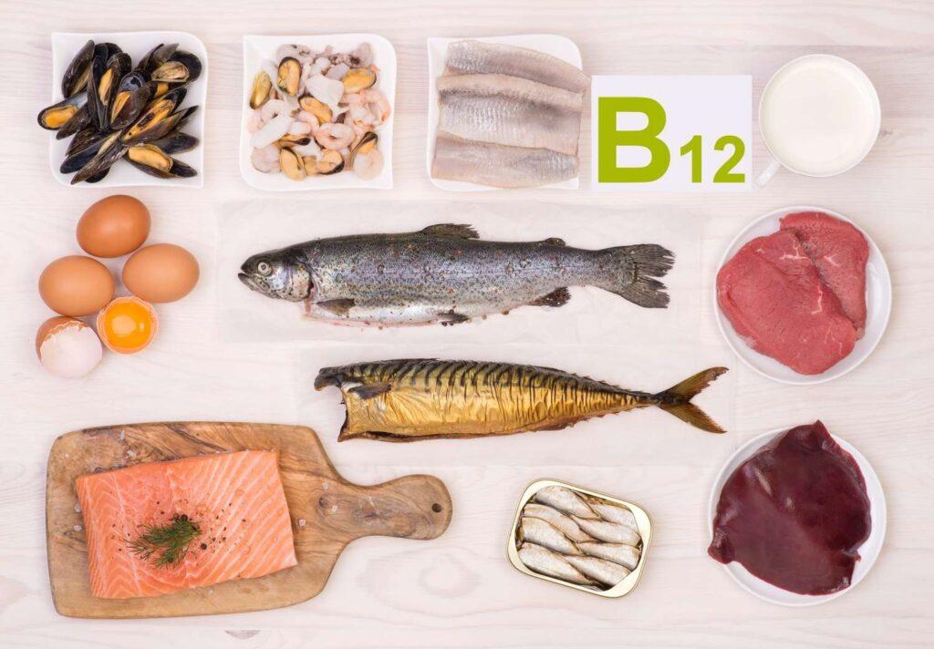 Vitamin B12 Manufacturing Plant Project Report 2024, Business Plan, Cost and Revenue