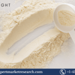 Global Banana Powder Market Size, Share, Growth, Trends 2024-2032