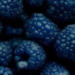 How to Boost Cognitive Function with Blueberries