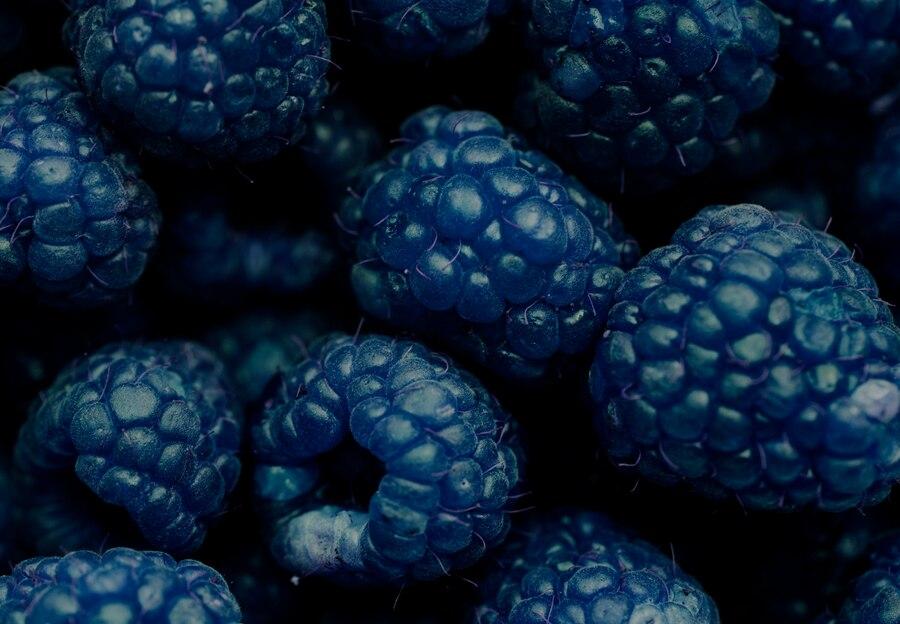 How to Boost Cognitive Function with Blueberries