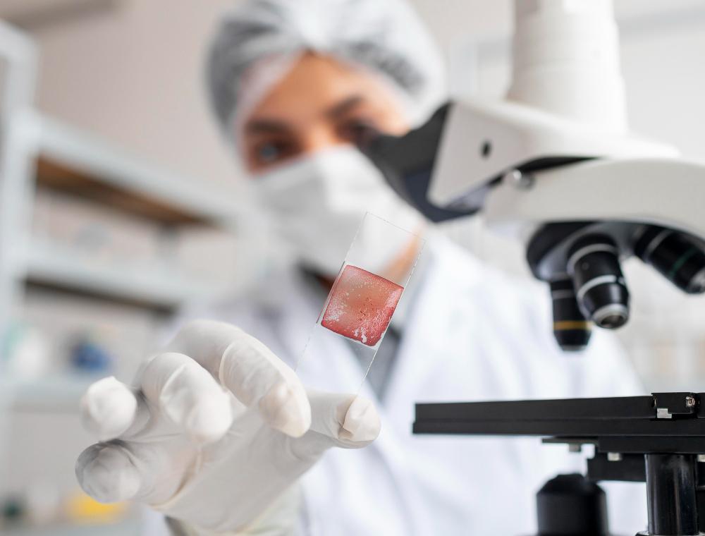 South Korea In Vitro Diagnostics Market, Size, Share, Trend, Forecast 2022 – 2032.