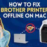 Troubleshooting Guide: Brother Printer Offline Issue on Windows 10