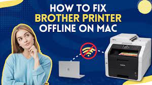 Troubleshooting Guide: Brother Printer Offline Issue on Windows 10