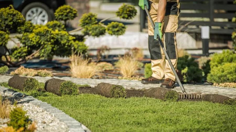 Discover The Finest Landscape Contractors Near Me With Rototillerguy Landscaping!