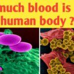 Keep reading to know how much blood in human body…