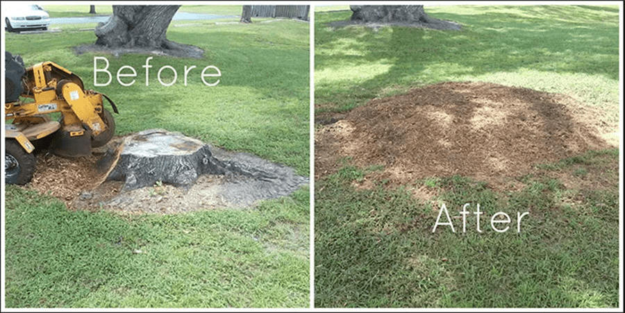 Unearthing the Secrets of Stump Grinding: A Comprehensive Guide