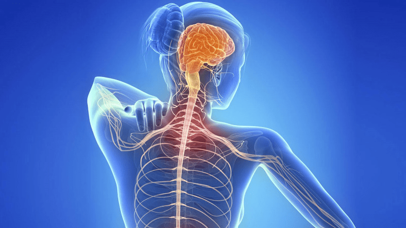 What is multiple sclerosis?