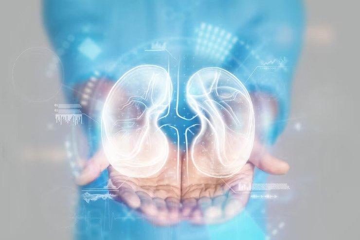 Mumbai’s Renal Heroes: Discovering the Best Nephrologists