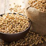 Japan Soy Protein Market Size, Share, Trend, Forecast 2022 – 2032