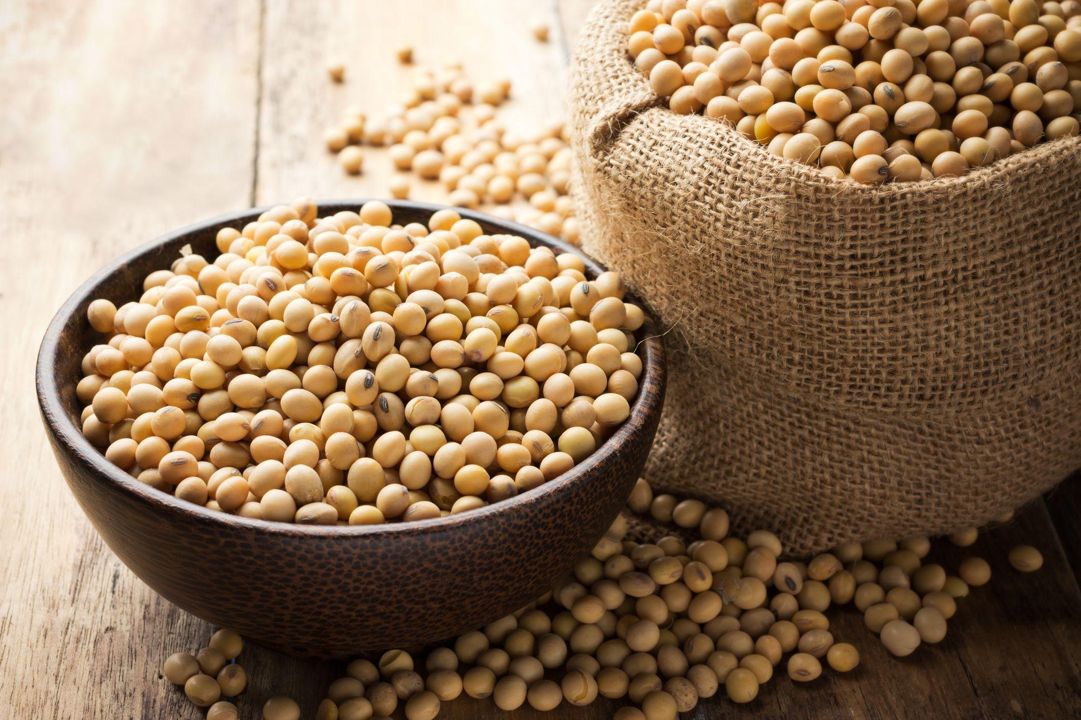 Japan Soy Protein Market Size, Share, Trend, Forecast 2022 – 2032