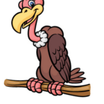 Draw a Vulture – Bit by bit Instructional exercise.